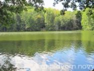 Выпуск 13.06.2014